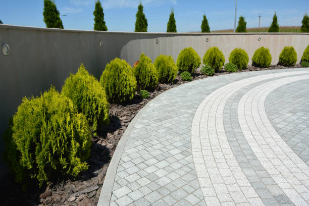 Reasons to Select Us for Your Driveway Paving Requirements in Owensboro, KY